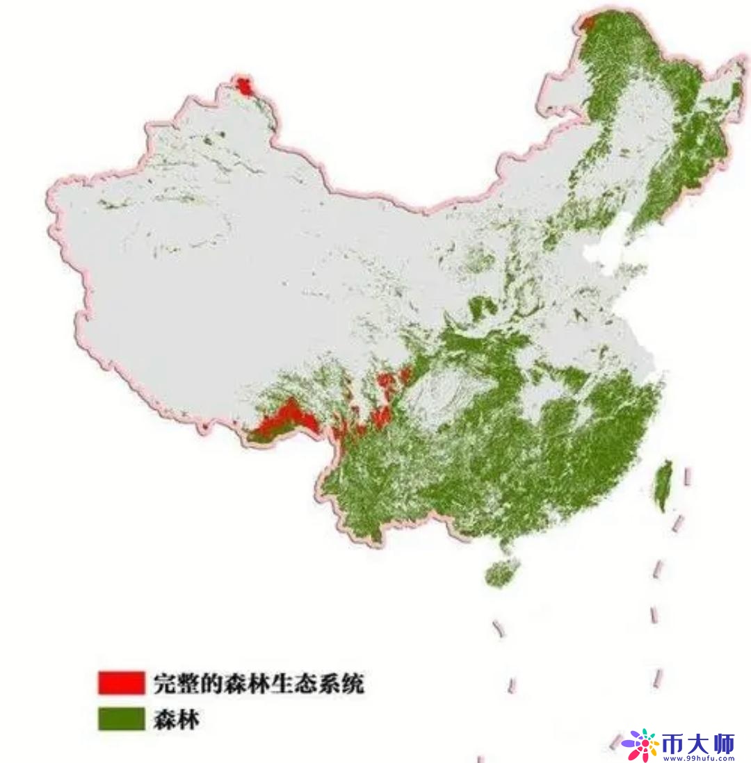 中国还有原始森林吗？主要分布在哪些地方？