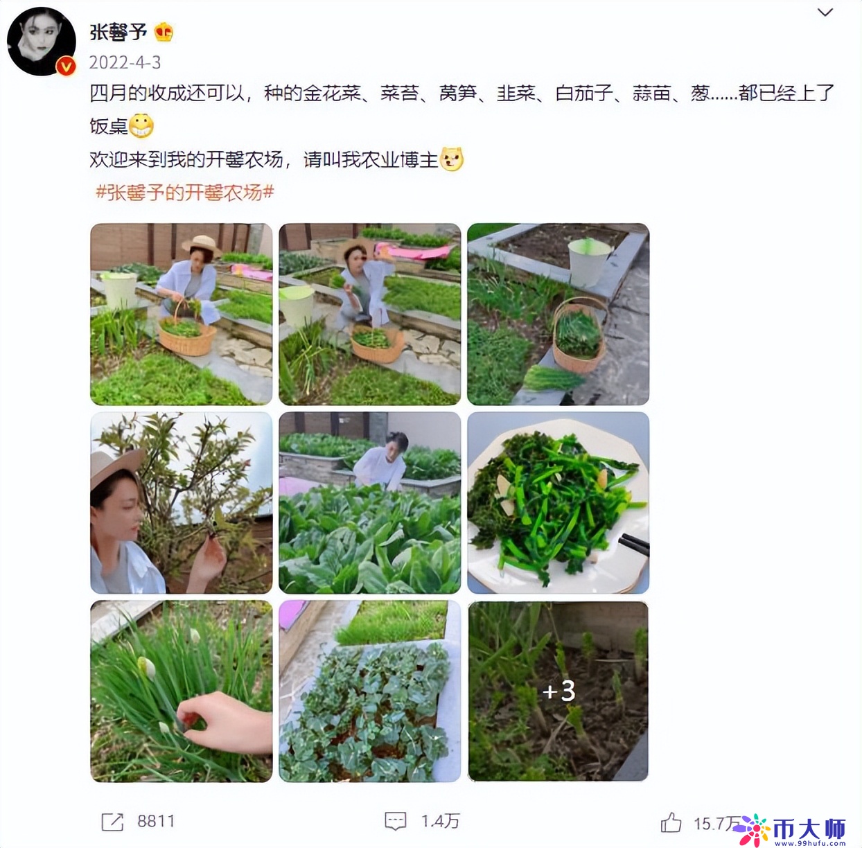 “军嫂”张馨予自家的小菜园火了！种菜的院子这样设计，美翻了