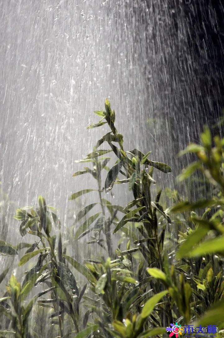 天气预报：今天是五月十七，下雨好还是无雨好？看看谚语咋预兆